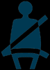 Seatbelt Sign